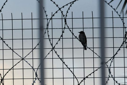 Προφυλακίζεται ο πρώην ντράμερ των Πυξ Λαξ που κατηγορείται για κακοποίηση ανηλίκων