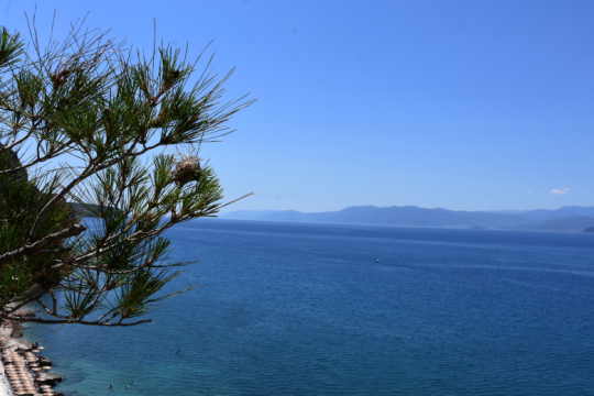 Στα ύψη και σήμερα ο υδράργυρος