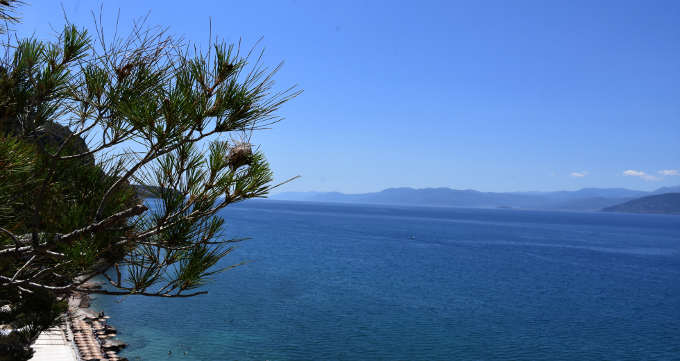 Στα ύψη και σήμερα ο υδράργυρος