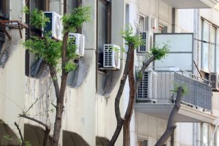 Κλαδεύουν τα δέντρα στην Αθήνα ώσπου να καραφλιάσουν