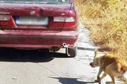 Κρήτη: Έδεσε τον σκύλο στον προφυλακτήρα και τον έσερνε στο δρόμο