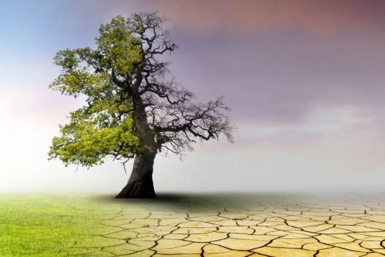 Νέο ζοφερό ρεκόρ στους δείκτες-κλειδί της κλιματικής κρίσης το 2021