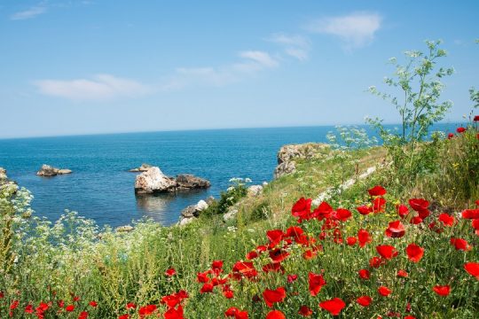 Το νόημα του να είσαι κοντά στη φύση