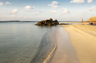 Στο ΣτΕ για το δίκτυο Natura