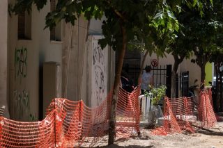 Πολλά δέντρα μεγαλώνουν στην Κυψέλη