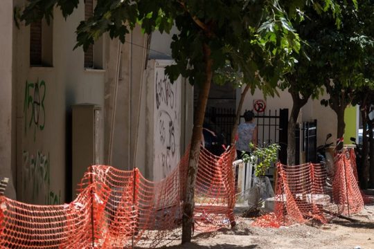 Πολλά δέντρα μεγαλώνουν στην Κυψέλη