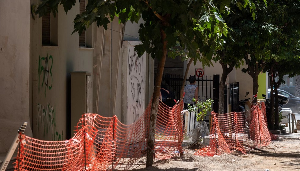 Πολλά δέντρα μεγαλώνουν στην Κυψέλη