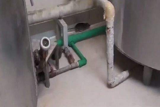 Ποντίκια στην… κουζίνα του ΑΠΘ