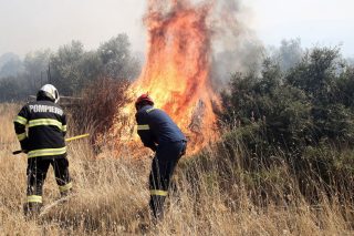 Δασοπροστασία με έμφαση στην καταστολή