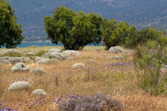 Περπατώντας στην εξοχή