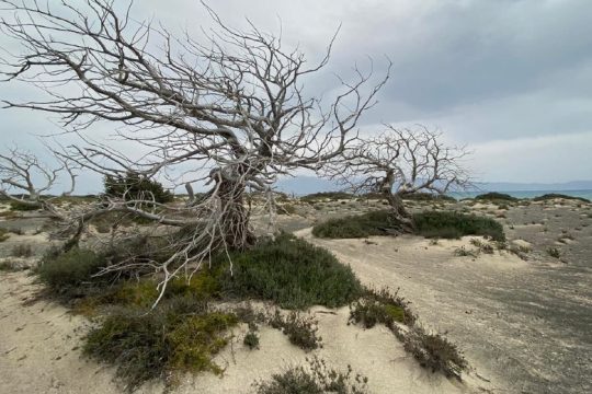 Στη Δικαιοσύνη ο Δήμος Ιεράπετρας για το θέμα της νήσου Χρυσής