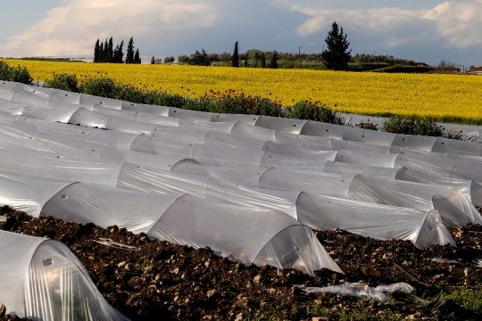 ΣΥΡΙΖΑ-Π.Σ.: «Οι ιδεοληψίες της Ν.Δ. στερούν εργάτες γης από τον αγροτικό τομέα»
