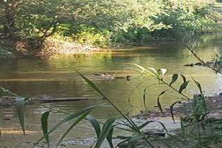 «Αφήστε ήσυχο» το τελευταίο φυσικό τμήμα του Κηφισού