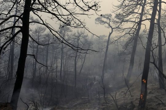 Υπό μερικό έλεγχο η πυρκαγιά στο Αλιβέρι