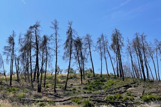 «Ολα μας θυμίζουν ότι εδώ τελέστηκε ένα έγκλημα»