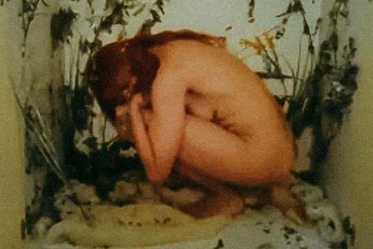 Βαριοπούλα ή βιβλιοθήκη;