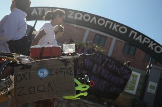 Ακόμα μια φορά για τους ζωολογικούς κήπους