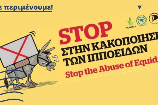 Κινητοποιήσεις σε Ύδρα και Ρόδο κατά της εκμετάλλευσης ιπποειδών