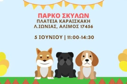 Μπαζάρ, υιοθεσίες και άλλα πολλά