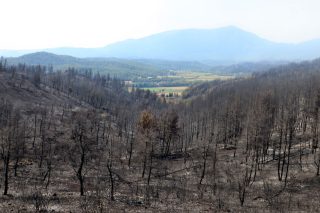 Τι ίσως κρύβουν οι πυρκαγιές στη χώρα