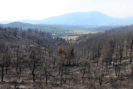 Τι ίσως κρύβουν οι πυρκαγιές στη χώρα