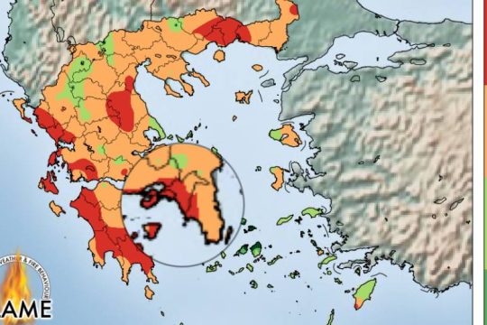 Τι μας έδειξε η ευφλεκτότητα της νεκρής λεπτής δασικής καύσιμης ύλης