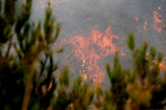 Ανησυχία και φόβος μετά την πρώτη μεγάλη πυρκαγιά στον Λίβανο