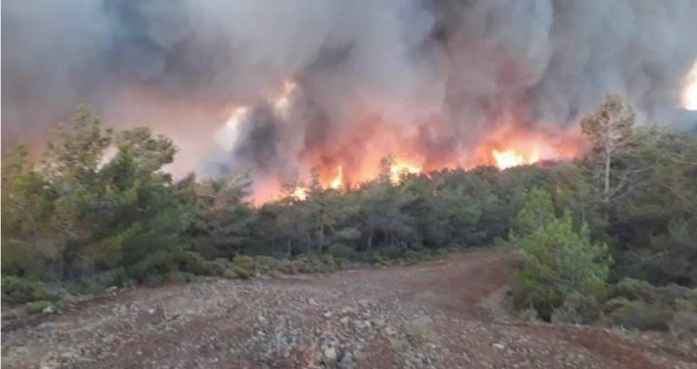 Μάχη με τις φλόγες για τρίτη ημέρα στη Μαρμαρίδα