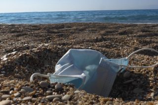 Ενα εμβληματικό σκουπίδι