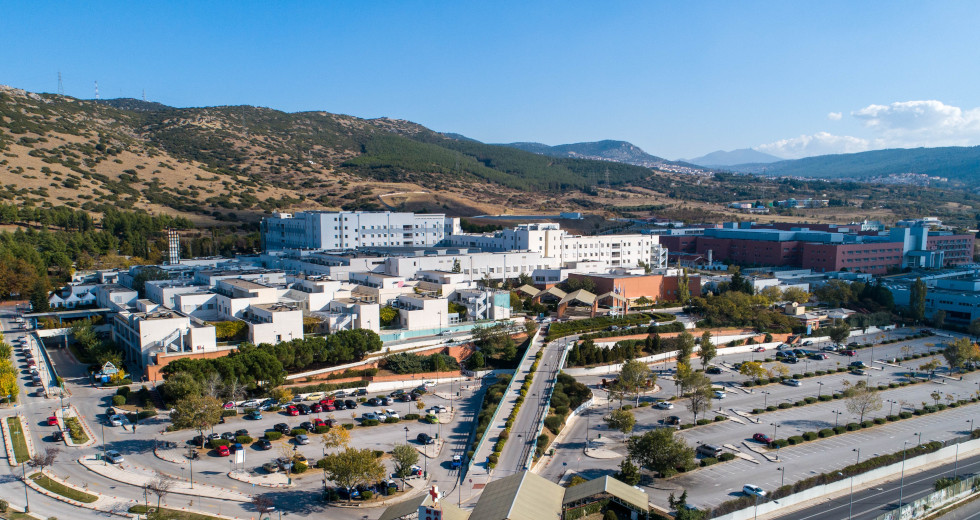 Ύποπτο κρούσμα ευλογιάς των πιθήκων εξετάζεται στη Θεσσαλονίκη