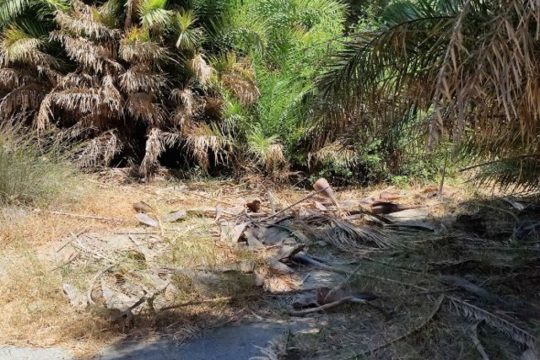 Η απάντηση της Πολιτικής Προστασίας Ρεθύμνου για την Πρέβελη