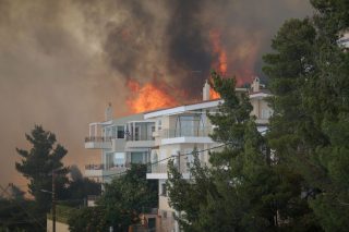 Καθαρίζουν και το δάσος που… κάηκε στον Υμηττό!