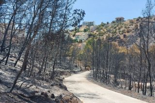 Θράσος πάνω από τις στάχτες