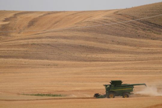 Δειλά βήματα προσέγγισης για απελευθέρωση σιτηρών από την Ουκρανία