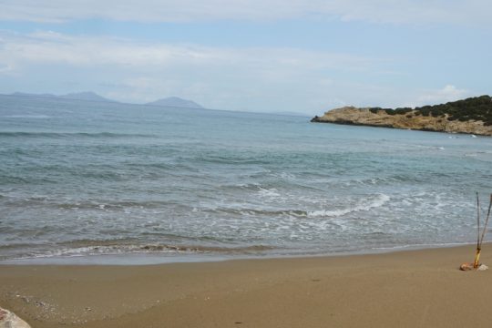 Ταυτοποιήθηκε πτώμα που είχε εντοπιστεί σε προχωρημένη σήψη στη Χαλάστρα Θεσσαλονίκης