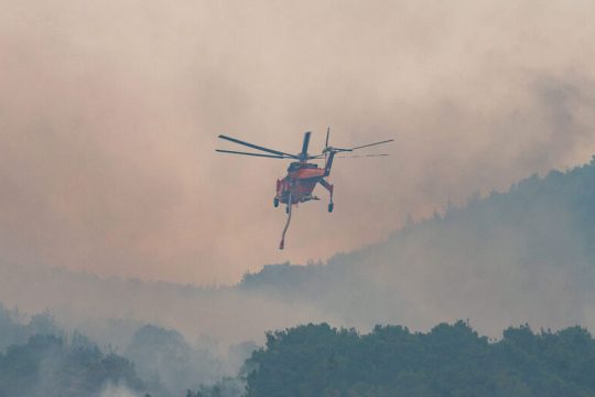 Ανυπολόγιστη καταστροφή στον δρυμό της Δαδιάς