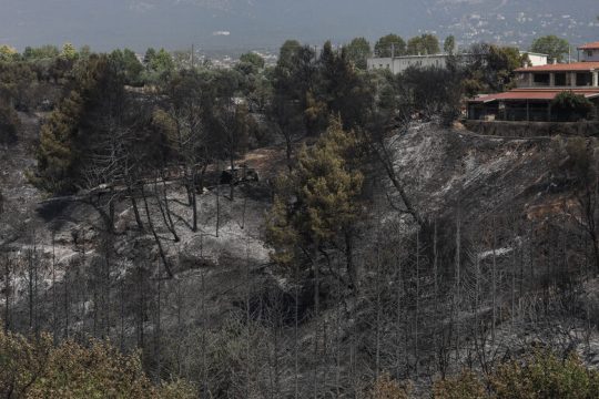 Οι πυρόπληκτοι της Βαρυμπόμπης περιμένουν ακόμη