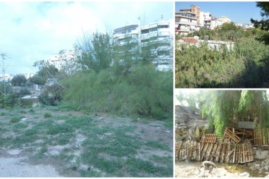 Το ρέμα της Πικροδάφνης στα χέρια των εργολάβων