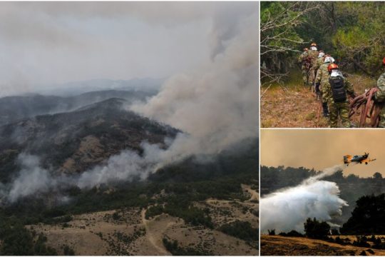 Πώς φτάσαμε στη μεγάλη οικολογική καταστροφή
