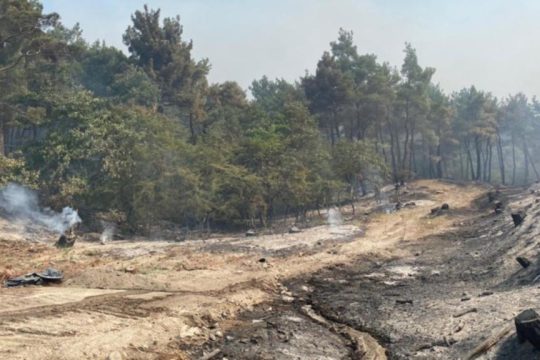 Υπό έλεγχο οι φωτιές στην Ηλεία – Οριοθετημένη η πυρκαγιά στην Κορινθία