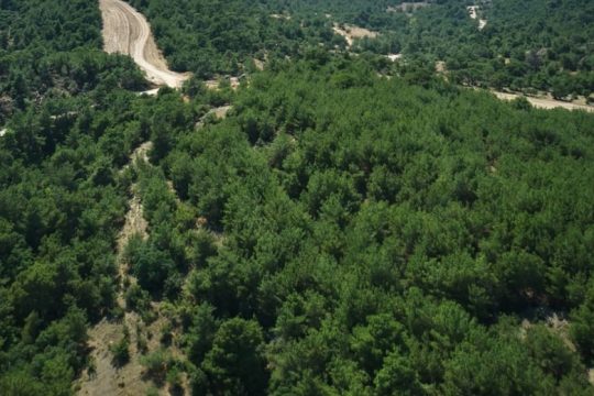 Το αντιπεριβαλλοντικό νομοσχέδιο έγινε «σκούπα»