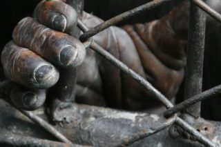 Στη σωστή πλευρά του φράχτη