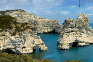 Τα μικρά θαύματα της φύσης