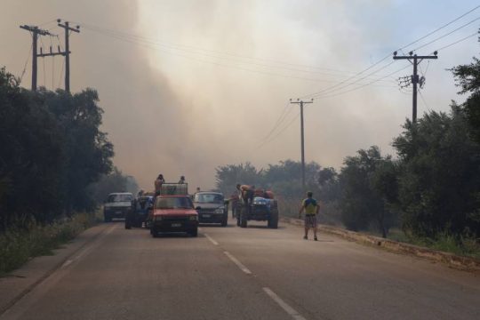 Χιλιάδες καμμένα στρέμματα από τη φωτιά στην Άμφισσα