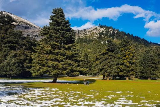 «Ελικώνας – Αρβανίτσα: το παρόν κατεδαφίζεται»