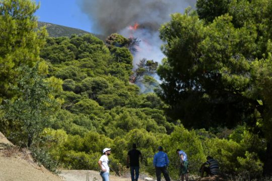 Υπό έλεγχο τα πύρινα μέτωπα στον Άγιο Βασίλειο Ρεθύμνου