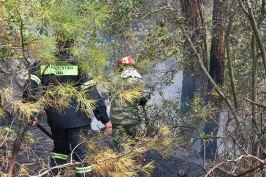 Σε κατάσταση έκτακτης ανάγκης κηρύχθηκε η Δαδιά