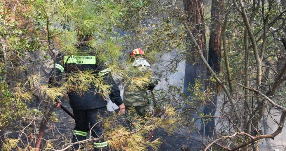 Σε κατάσταση έκτακτης ανάγκης κηρύχθηκε η Δαδιά