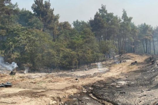 Καλύτερη εικόνα σε Έβρο και Λέσβο – Οικολογικό δράμα στη Δαδιά