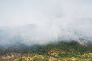 Η Δαδιά και οι νομοθετικοί εμπρηστές
